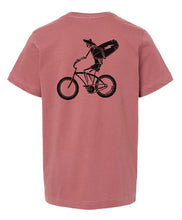 Load image into Gallery viewer, Beach Bike Toddler and Youth